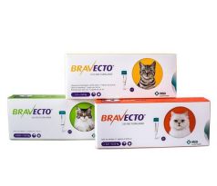 Bravecto Cat M 250 mg spot-on roztok pre stredne veľké mačky ( od 2,8 do 6,25 kg ) 1 x 0,89 ml