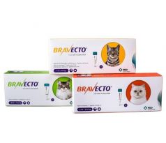 Bravecto Cat S 112,5 mg spot-on roztok pre malé mačky ( od 1,2 do 2,8 kg ) 1 x 0,4 ml