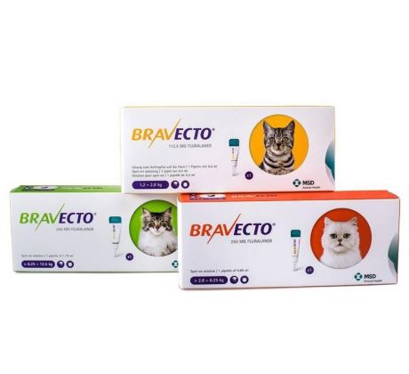 Bravecto Cat S 112,5 mg spot-on roztok pre malé mačky ( od 1,2 do 2,8 kg ) 1 x 0,4 ml