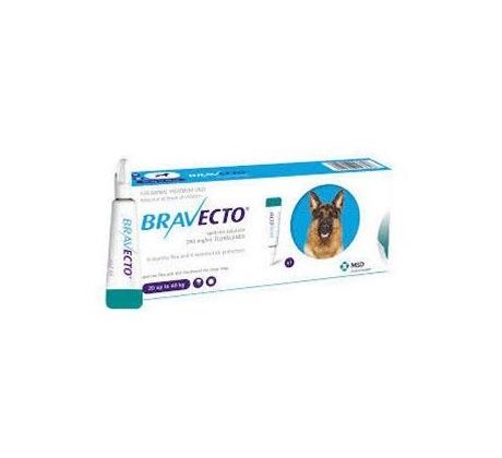 Bravecto Dog M 500 mg spot-on roztok pre stredne veľké psy ( od 10 do 20 kg ) 1 x 1,79 ml